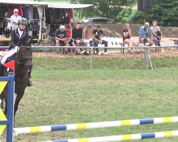 Reitturnier Herrenberg-Gültstein 2017