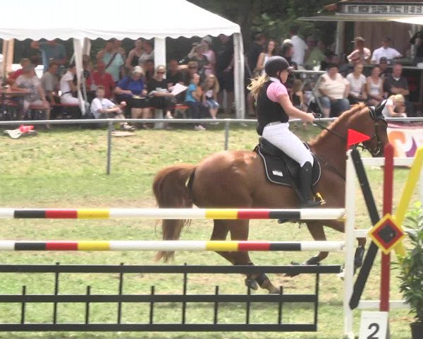 Reitturnier Herrenberg-Gültstein 2017