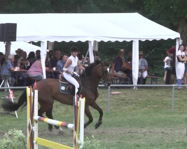 Reitturnier Herrenberg-Gültstein 2017