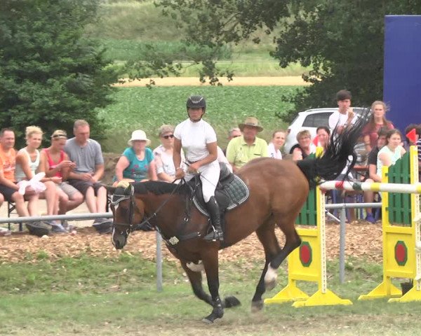 Reitturnier Herrenberg-Gültstein 2017