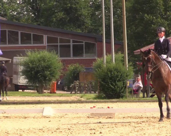 Reitturnier Münster-Roxel 2017