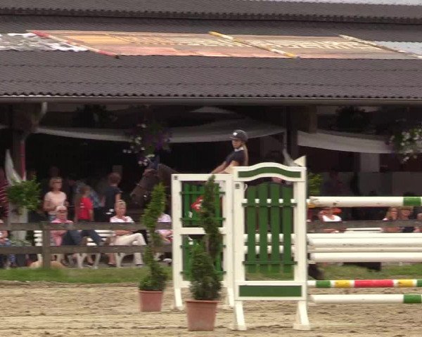 Reitturnier Münster-Roxel 2017