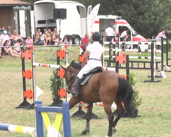 Reitturnier Herrenberg-Gültstein 2017