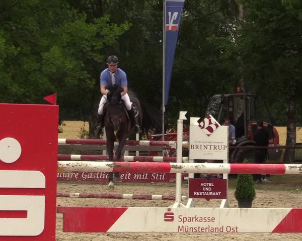 Reitturnier Münster-Roxel 2017
