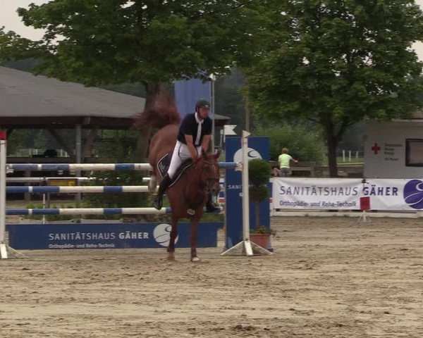 Reitturnier Münster-Roxel 2017