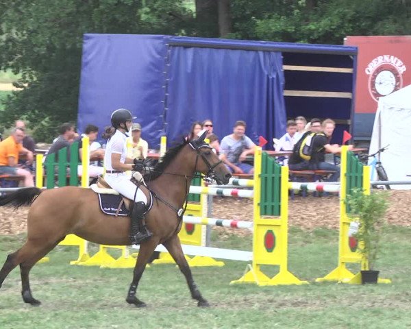 Reitturnier Herrenberg-Gültstein 2017
