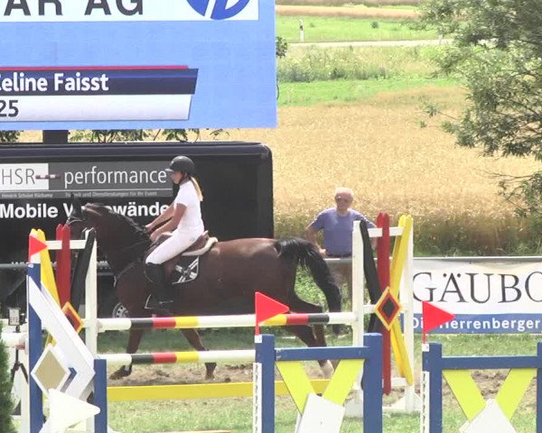 Reitturnier Herrenberg-Gültstein 2017