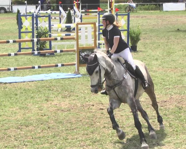 Reitturnier Herrenberg-Gültstein 2017