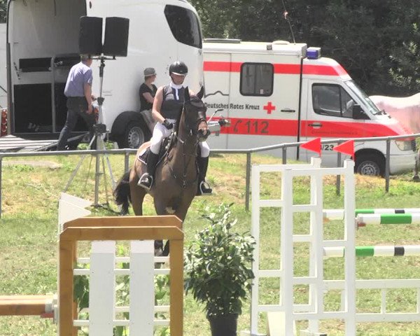 Reitturnier Herrenberg-Gültstein 2017