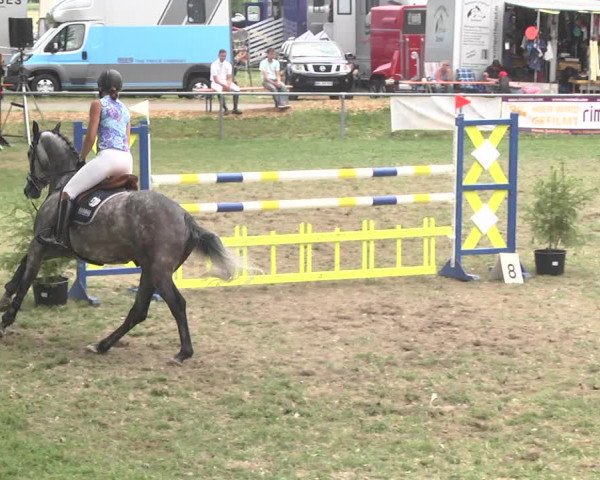 Reitturnier Herrenberg-Gültstein 2017
