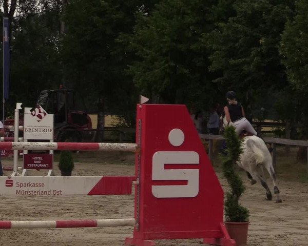 Reitturnier Münster-Roxel 2017