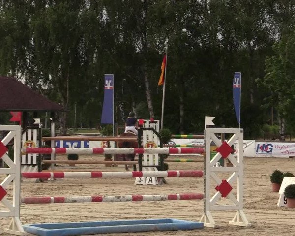 Reitturnier Münster-Roxel 2017