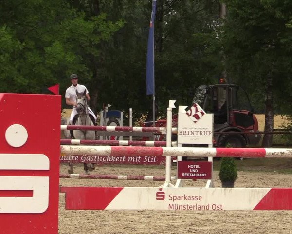 Reitturnier Münster-Roxel 2017