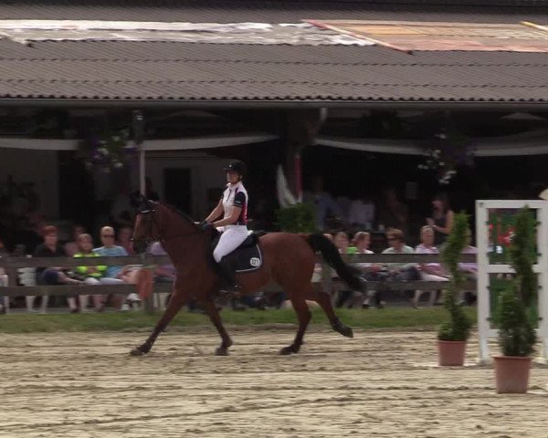 Reitturnier Münster-Roxel 2017