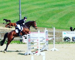 jumper L'amie H (Westphalian, 2010, from Ludwig von Bayern 168 FIN)