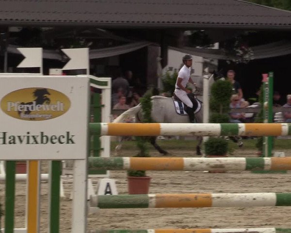 Reitturnier Münster-Roxel 2017