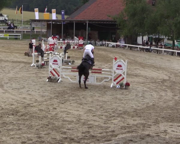 Reitturnier Letmathe 2017