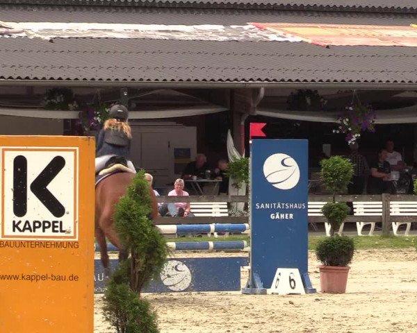 Reitturnier Münster-Roxel 2017