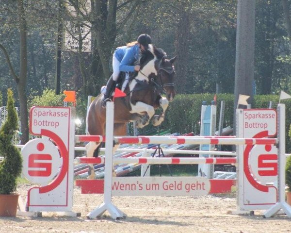 jumper Schneewittchen 324 (Oldenburg, 2009, from Stalypso) jumper Schneewittchen 324 (Oldenburg, 2009, from Stalypso)
