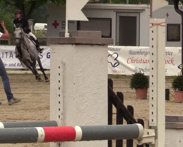 Reitturnier Münster-Roxel 2017