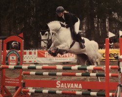 jumper Allegra Casall (Holsteiner, 2008, from Cassiano)