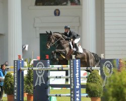 broodmare Emma Brown 2 (Hanoverian, 2004, from Earl)