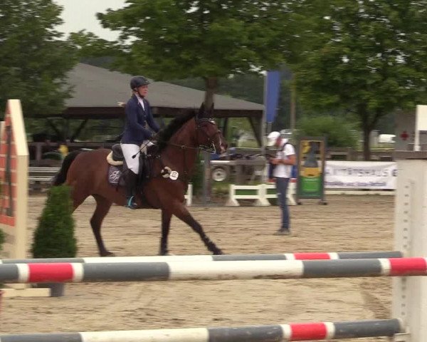 Reitturnier Münster-Roxel 2017