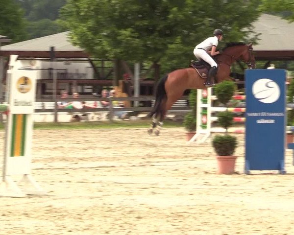 Reitturnier Münster-Roxel 2017