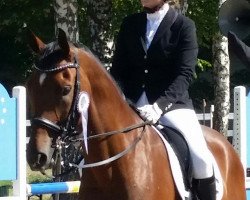 dressage horse Luftikus Tb (Württemberger, 2010, from Leviathan)