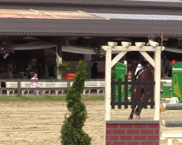 Reitturnier Münster-Roxel 2017
