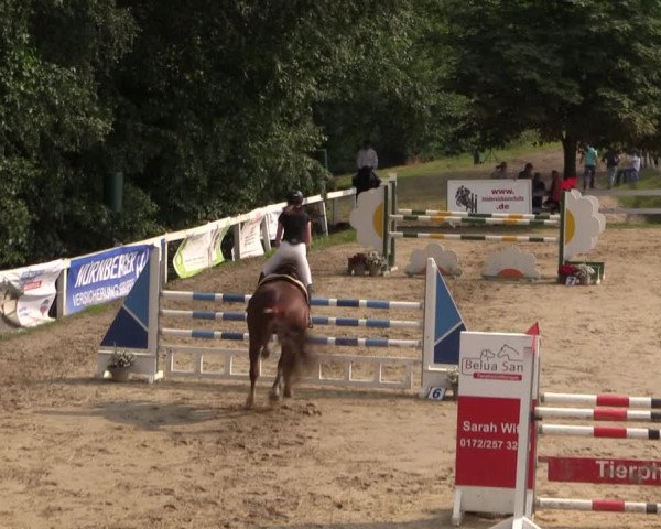 Reitturnier Letmathe 2017
