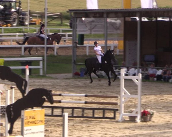 Reitturnier Letmathe 2017
