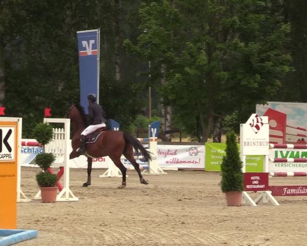 Reitturnier Münster-Roxel 2017