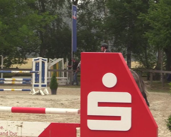 Reitturnier Münster-Roxel 2017