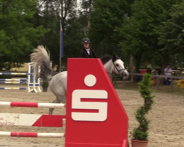 Reitturnier Münster-Roxel 2017