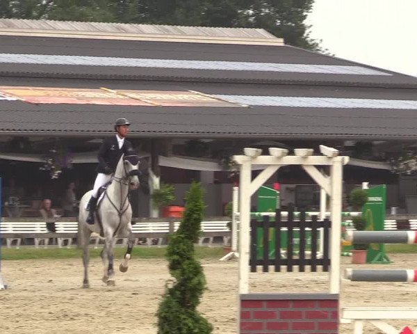 Reitturnier Münster-Roxel 2017