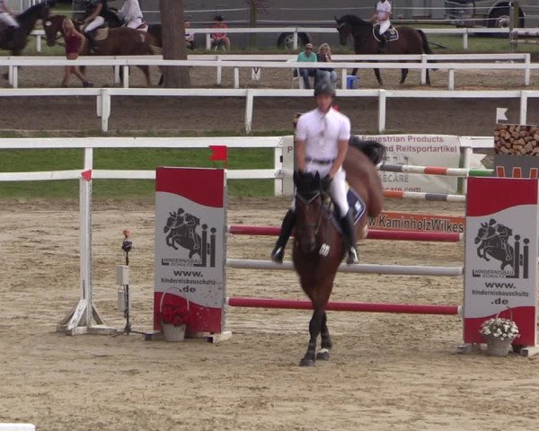 Reitturnier Letmathe 2017