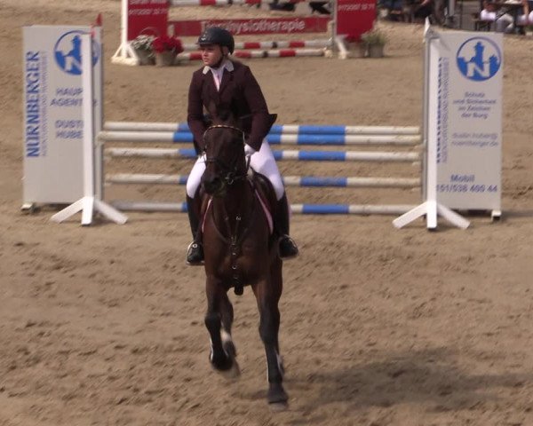 Reitturnier Letmathe 2017
