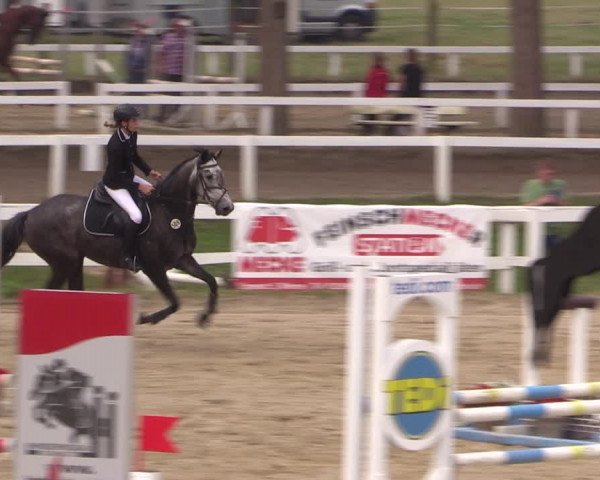 Reitturnier Letmathe 2017