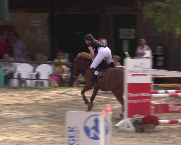 Reitturnier Letmathe 2017