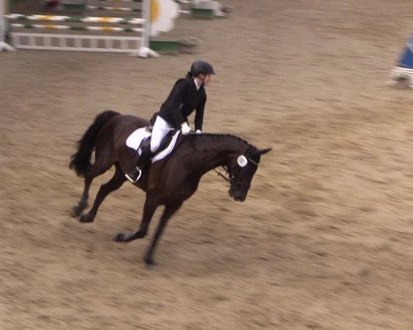 Reitturnier Letmathe 2017