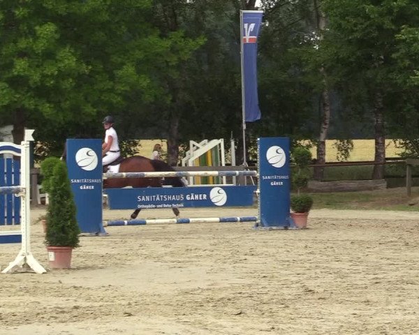 Reitturnier Münster-Roxel 2017