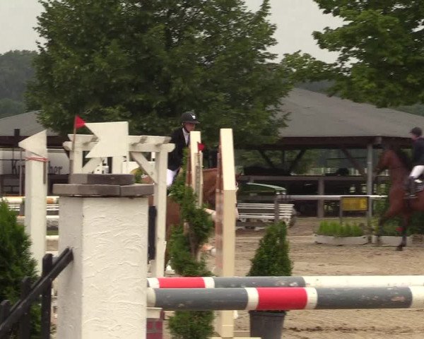 Reitturnier Münster-Roxel 2017