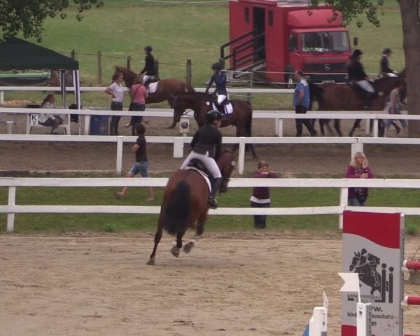 Reitturnier Letmathe 2017