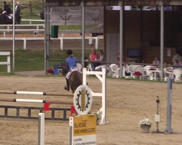 Reitturnier Letmathe 2017