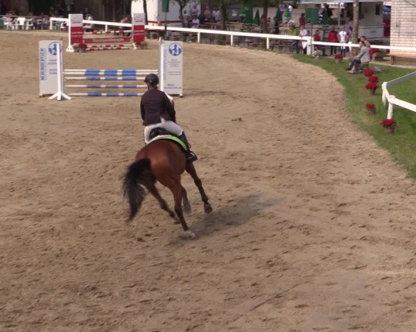 Reitturnier Letmathe 2017