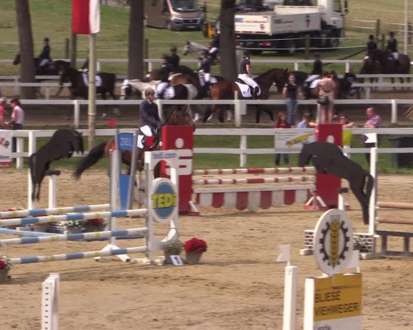Reitturnier Letmathe 2017