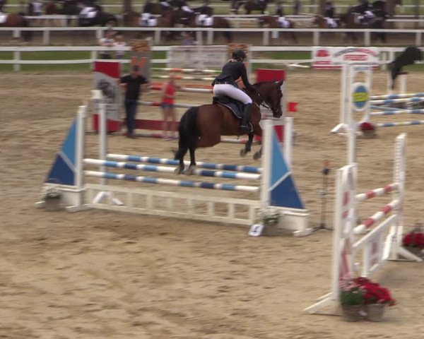 Reitturnier Letmathe 2017