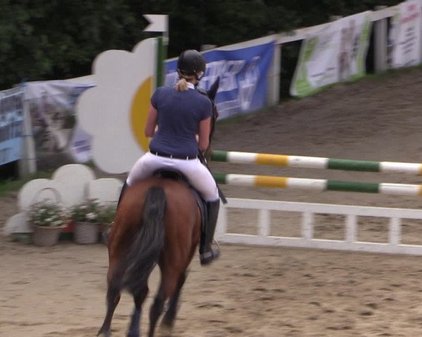 Reitturnier Letmathe 2017