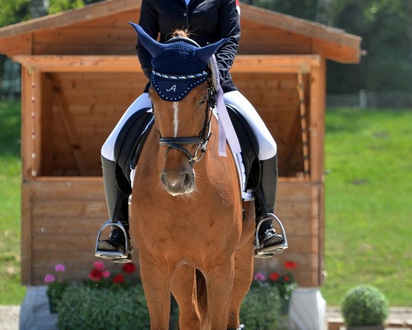 dressage horse Anna Luca (Bavarian, 2003, from Pasolongo)